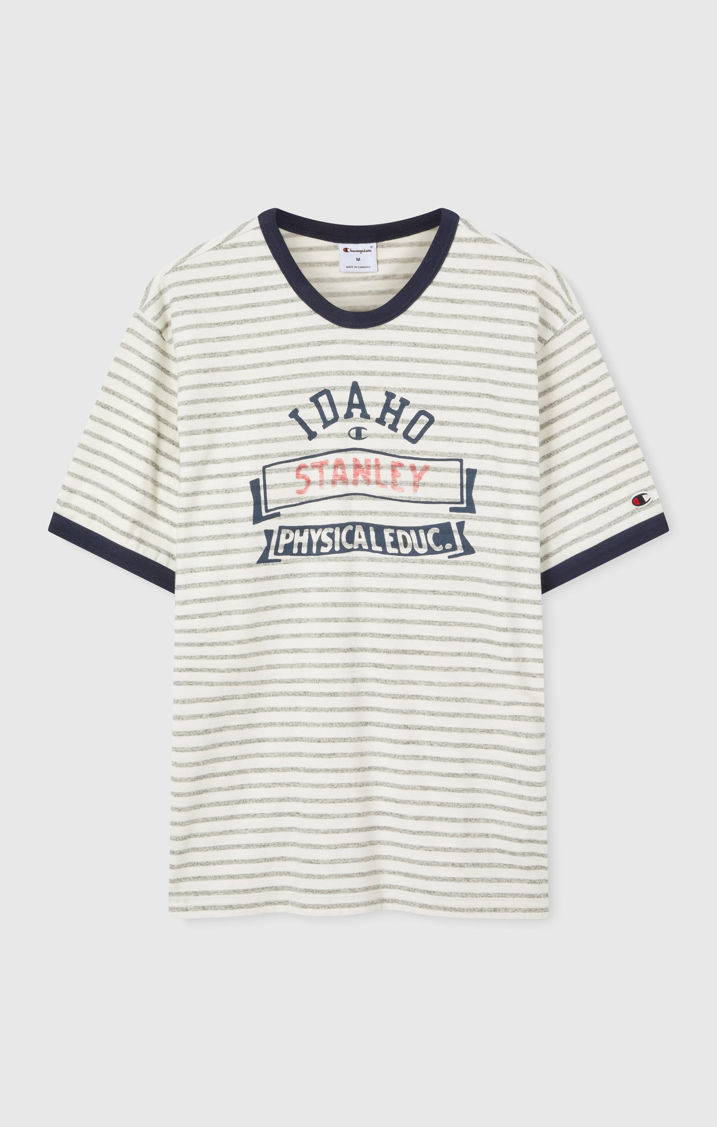 Men's Striped Ringer T-Shirt with Graphic