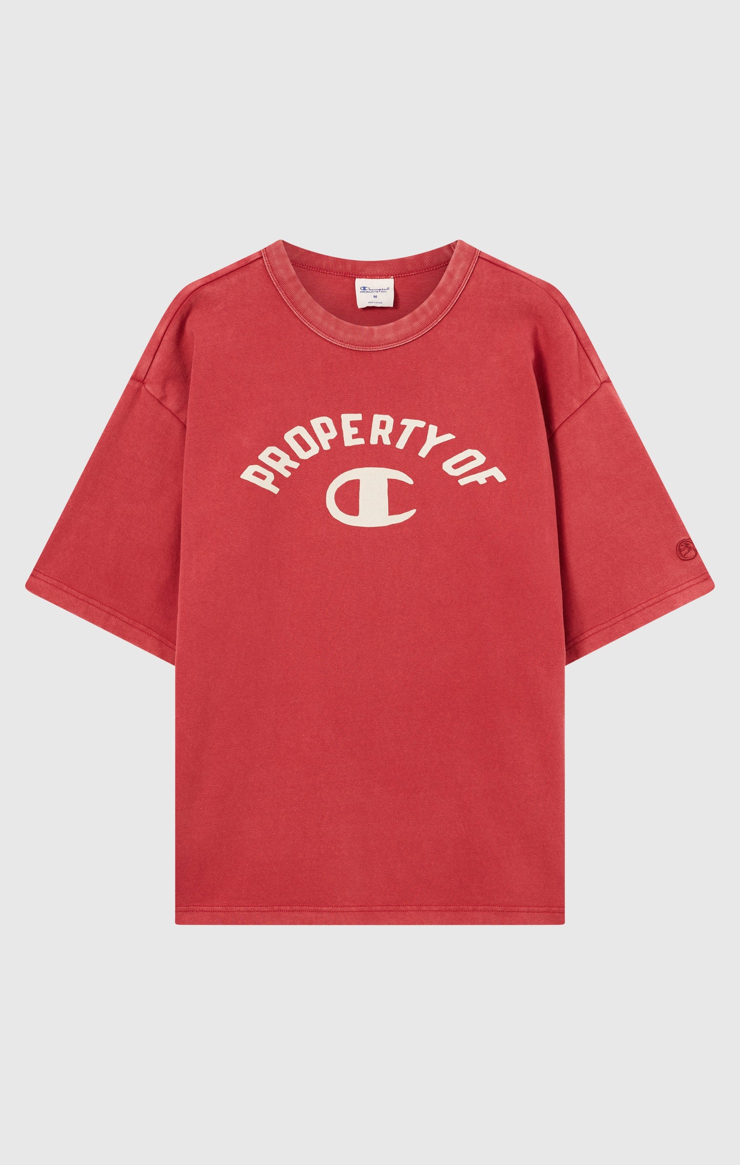 Men's Collegiate-Inspired Crewneck T-Shirt Time Capsule