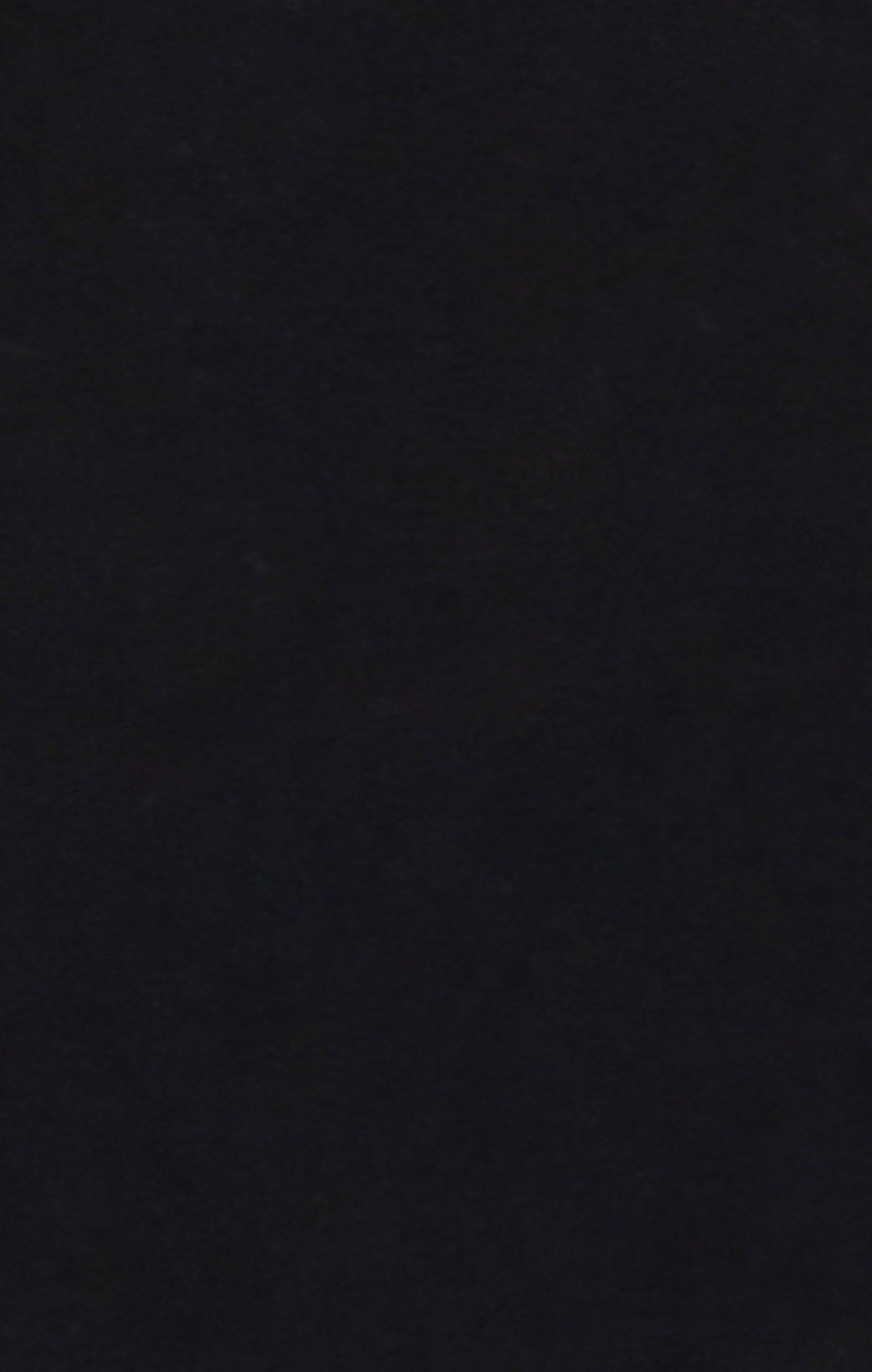 Men's Straight Hem Pants With Brushed Interior And Puff Print Logo