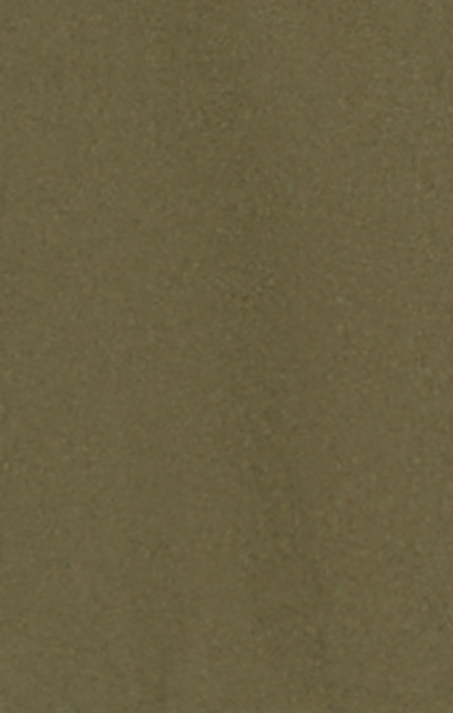 Men's Stretch Fabric Shorts