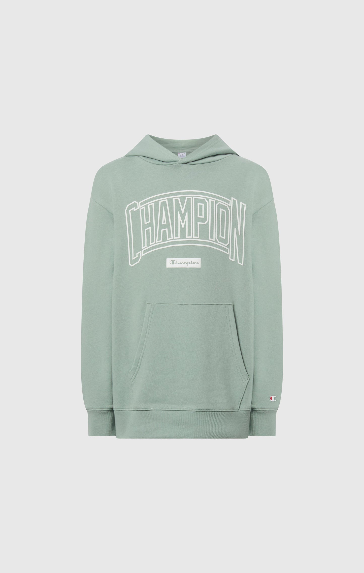Boys' Hooded Sweatshirt with Puff Print
